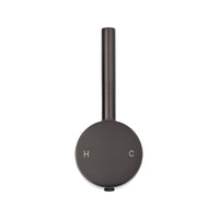 Handle Elysian Kitchen Mixer