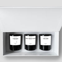 WHITE CHRISTMAS DISCOVERY SET