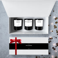 WHITE CHRISTMAS DISCOVERY SET