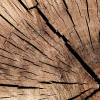 CEDARWOOD