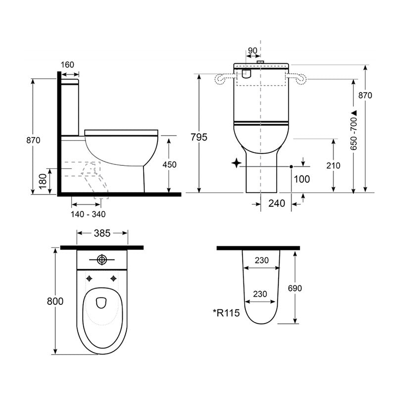 Argent Alto Plus PWD Back To Wall Toilet - S&P Trap, Bottom Entry with Backrest