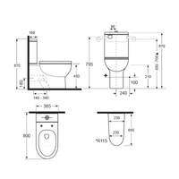 Argent Alto Plus PWD Back to Wall Toilet & Backrest