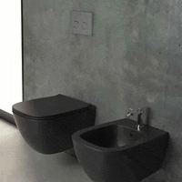 GENESIS Senzabrida Compact Wall-Hung Toilet Pan & Soft Close Seat Kit - COLOUR