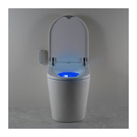 Argent Evo Wall Faced Smart Toilet System Package