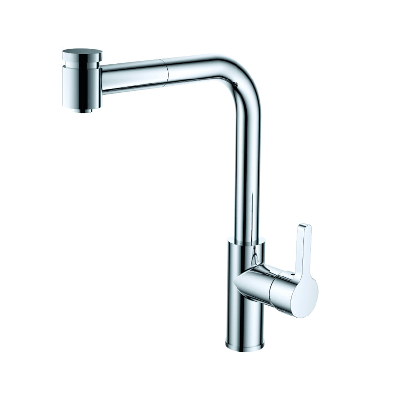 Argent Esprit Straight Kitchen Mixer with Pull-Out Spray - Chrome