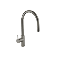 Argent Grace Gooseneck Kitchen Mixer with Pull-Out Spray - Chrome