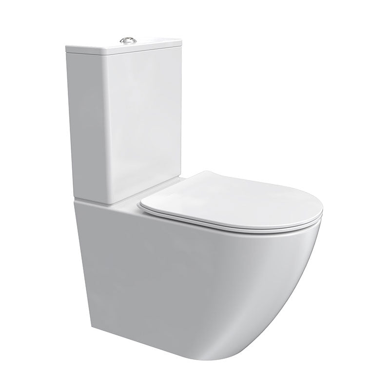 Parisi Ellisse PN600 Mk II Rimless Wall Faced Suite with S-Close Seat