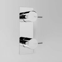 ASTRA WALKER Icon Wall Tap Set Offset on Backplate - Pair | The Source - Bath • Kitchen • Homewares