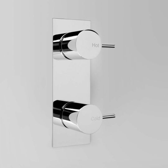 ASTRA WALKER Icon Wall Tap Set Offset on Backplate - Pair | The Source - Bath • Kitchen • Homewares